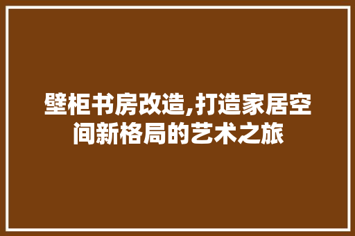 壁柜书房改造,打造家居空间新格局的艺术之旅