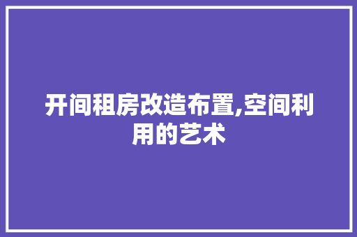 开间租房改造布置,空间利用的艺术