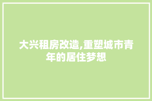 大兴租房改造,重塑城市青年的居住梦想