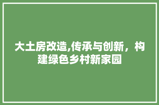 大土房改造,传承与创新，构建绿色乡村新家园