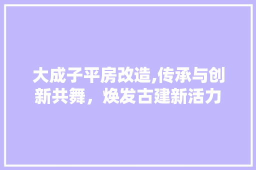 大成子平房改造,传承与创新共舞，焕发古建新活力