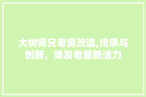 大树师兄老房改造,传承与创新，焕发老屋新活力