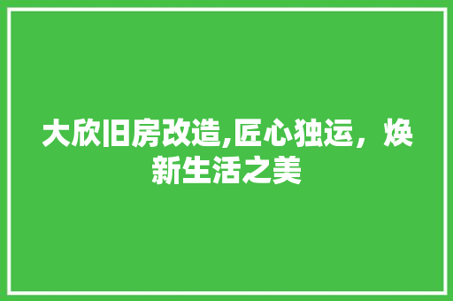 大欣旧房改造,匠心独运，焕新生活之美