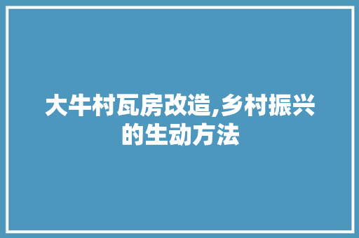 大牛村瓦房改造,乡村振兴的生动方法