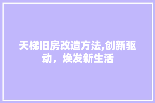 天梯旧房改造方法,创新驱动，焕发新生活