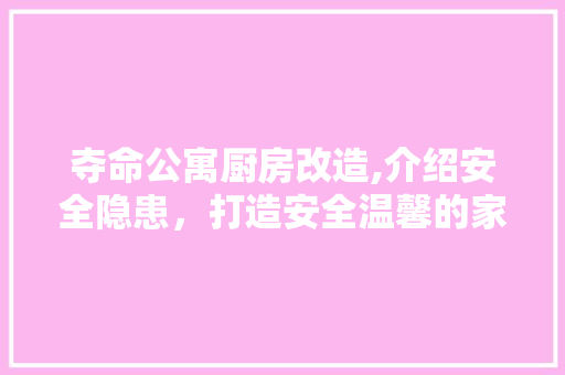 夺命公寓厨房改造,介绍安全隐患，打造安全温馨的家