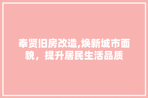 奉贤旧房改造,焕新城市面貌，提升居民生活品质