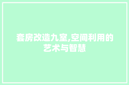 套房改造九室,空间利用的艺术与智慧