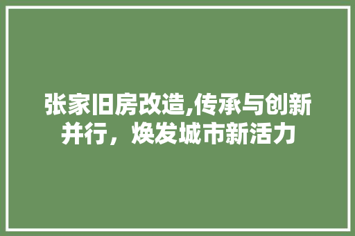 张家旧房改造,传承与创新并行，焕发城市新活力
