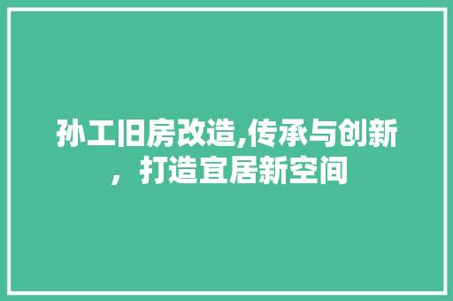 孙工旧房改造,传承与创新，打造宜居新空间