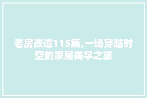 老房改造115集,一场穿越时空的家居美学之旅