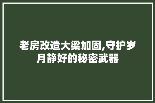 老房改造大梁加固,守护岁月静好的秘密武器