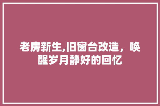 老房新生,旧窗台改造，唤醒岁月静好的回忆