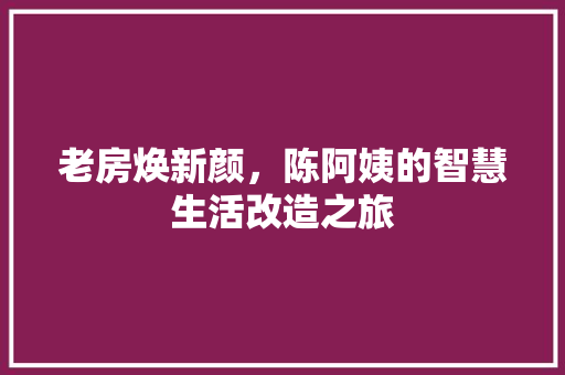 老房焕新颜，陈阿姨的智慧生活改造之旅