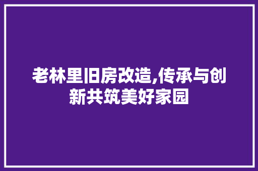 老林里旧房改造,传承与创新共筑美好家园