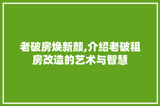 老破房焕新颜,介绍老破租房改造的艺术与智慧