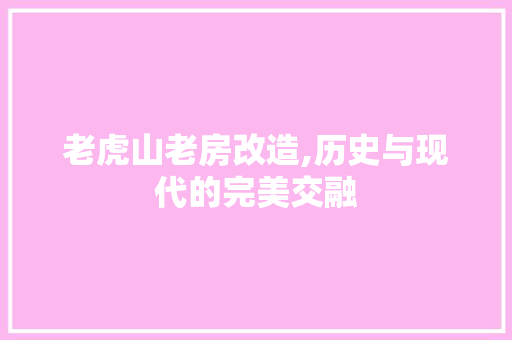 老虎山老房改造,历史与现代的完美交融