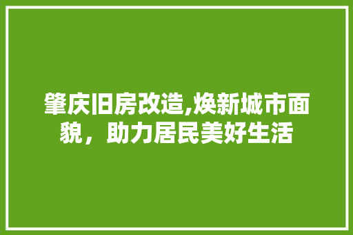 肇庆旧房改造,焕新城市面貌，助力居民美好生活