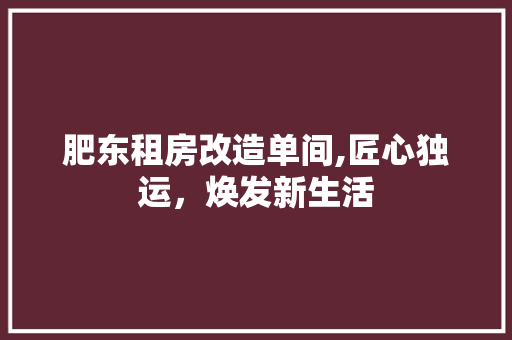 肥东租房改造单间,匠心独运，焕发新生活