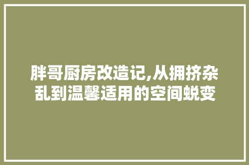 胖哥厨房改造记,从拥挤杂乱到温馨适用的空间蜕变