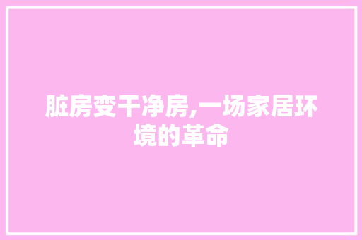 脏房变干净房,一场家居环境的革命