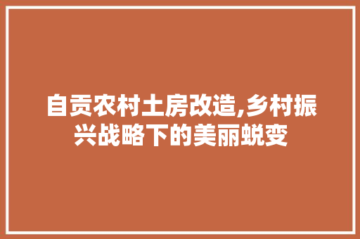 自贡农村土房改造,乡村振兴战略下的美丽蜕变