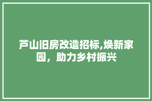 芦山旧房改造招标,焕新家园，助力乡村振兴