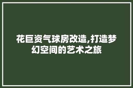 花巨资气球房改造,打造梦幻空间的艺术之旅
