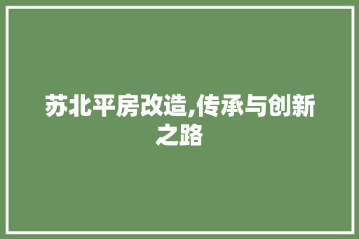 苏北平房改造,传承与创新之路