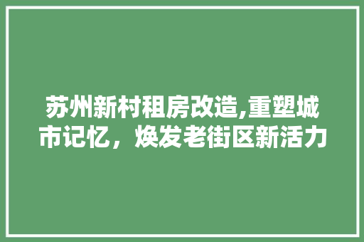 苏州新村租房改造,重塑城市记忆，焕发老街区新活力