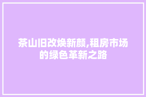 茶山旧改焕新颜,租房市场的绿色革新之路