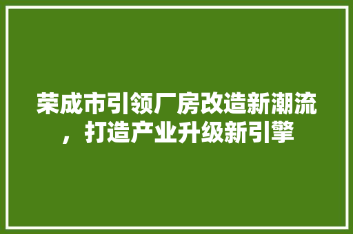 荣成市引领厂房改造新潮流，打造产业升级新引擎