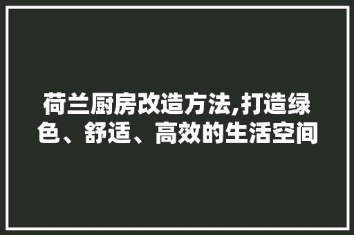 荷兰厨房改造方法,打造绿色、舒适、高效的生活空间