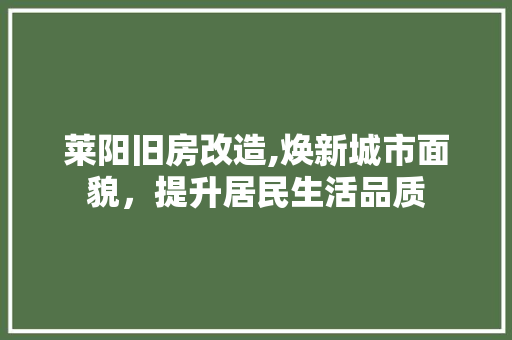 莱阳旧房改造,焕新城市面貌，提升居民生活品质