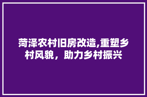 菏泽农村旧房改造,重塑乡村风貌，助力乡村振兴