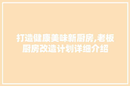 打造健康美味新厨房,老板厨房改造计划详细介绍