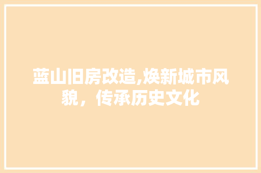 蓝山旧房改造,焕新城市风貌，传承历史文化