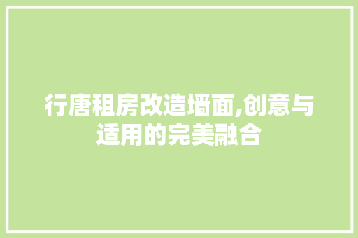 行唐租房改造墙面,创意与适用的完美融合
