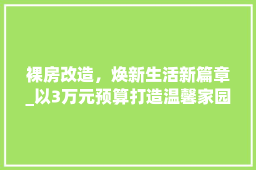 裸房改造，焕新生活新篇章_以3万元预算打造温馨家园