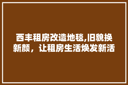 西丰租房改造地毯,旧貌换新颜，让租房生活焕发新活力