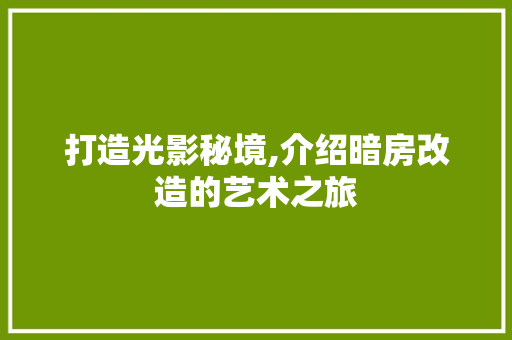 打造光影秘境,介绍暗房改造的艺术之旅