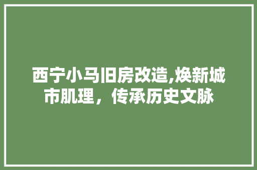 西宁小马旧房改造,焕新城市肌理，传承历史文脉