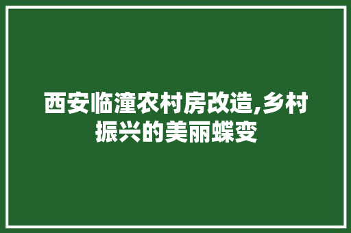 西安临潼农村房改造,乡村振兴的美丽蝶变
