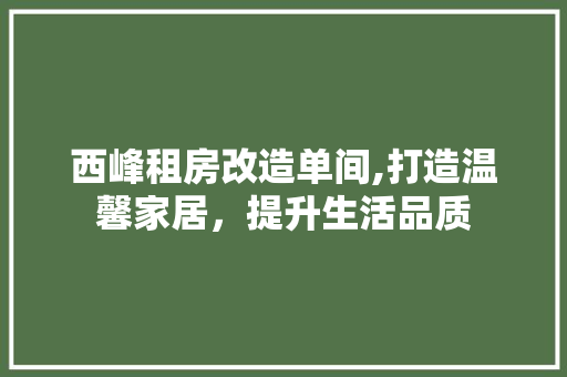 西峰租房改造单间,打造温馨家居，提升生活品质