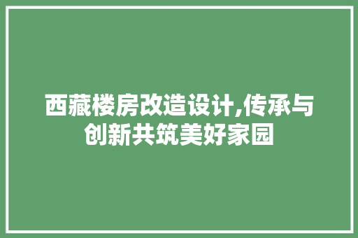 西藏楼房改造设计,传承与创新共筑美好家园