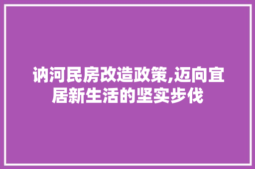 讷河民房改造政策,迈向宜居新生活的坚实步伐