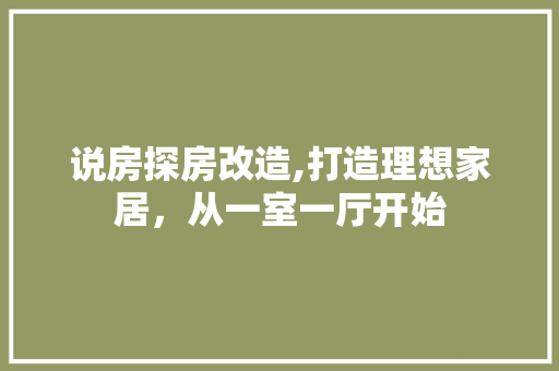 说房探房改造,打造理想家居，从一室一厅开始