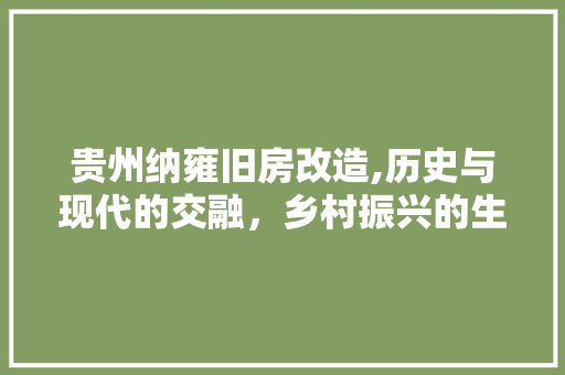 贵州纳雍旧房改造,历史与现代的交融，乡村振兴的生动方法