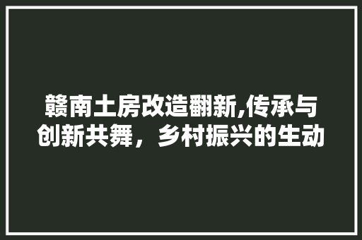 赣南土房改造翻新,传承与创新共舞，乡村振兴的生动方法