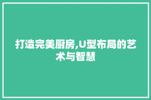 打造完美厨房,U型布局的艺术与智慧